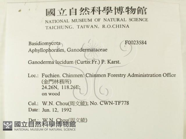 登錄號:F0023584藏品圖，第2張