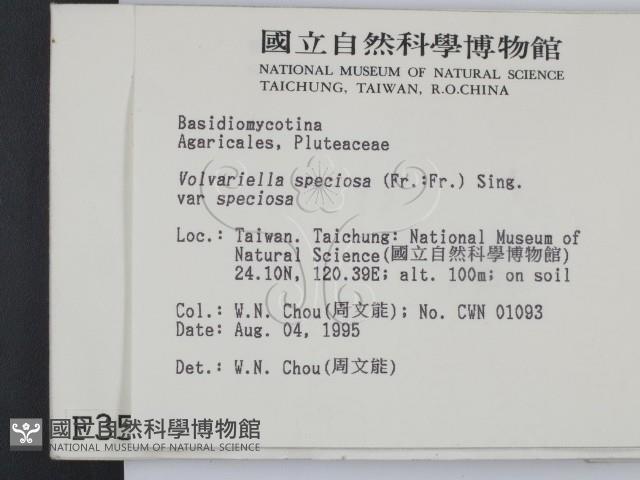 登錄號:F0003584藏品圖，第2張