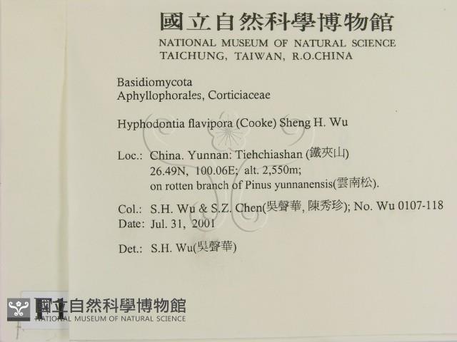 登錄號:F0013584藏品圖，第2張