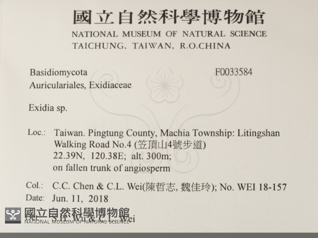 登錄號:F0033584藏品圖，第2張