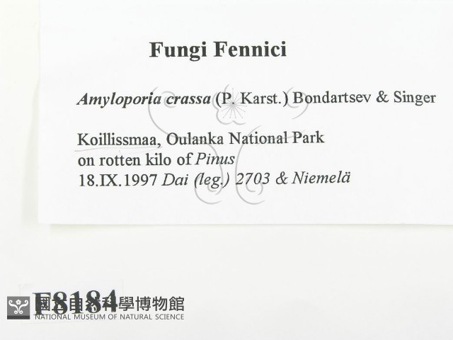 登錄號:F0008184藏品圖，第2張