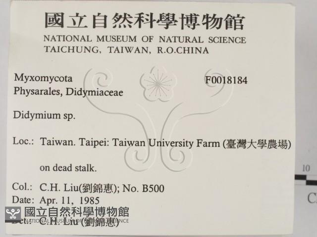 登錄號:F0018184藏品圖，第2張