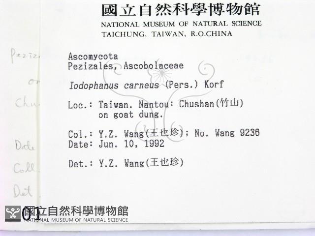 登錄號:F0000184藏品圖，第2張