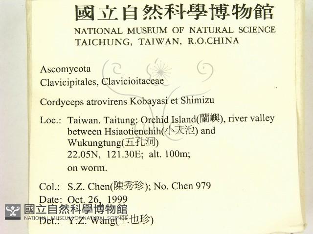 登錄號:F0010184藏品圖，第2張