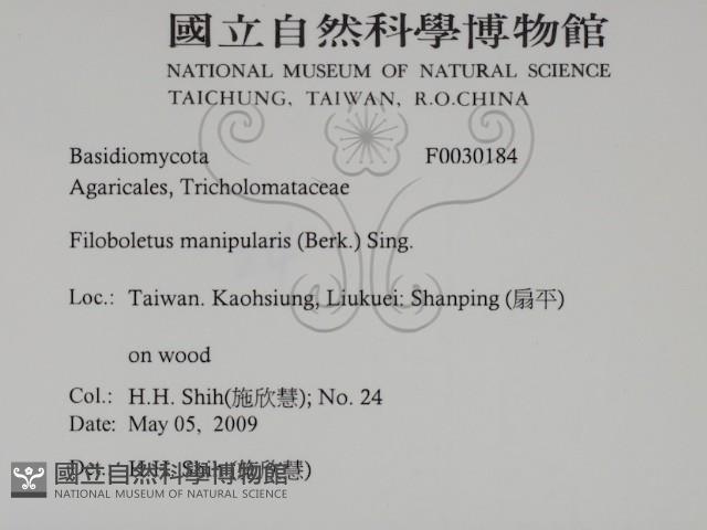 登錄號:F0030184藏品圖，第2張