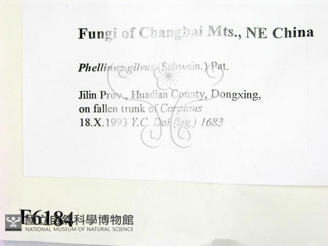 登錄號:F0006184藏品圖，第2張