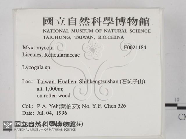 登錄號:F0021184藏品圖，第2張