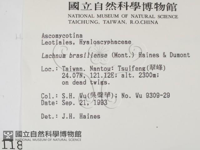 登錄號:F0001184藏品圖，第2張