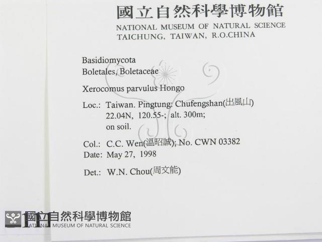 登錄號:F0011184藏品圖，第2張