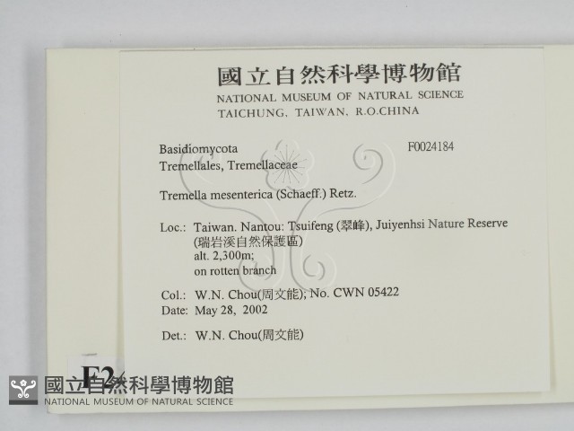 登錄號:F0024184藏品圖，第2張