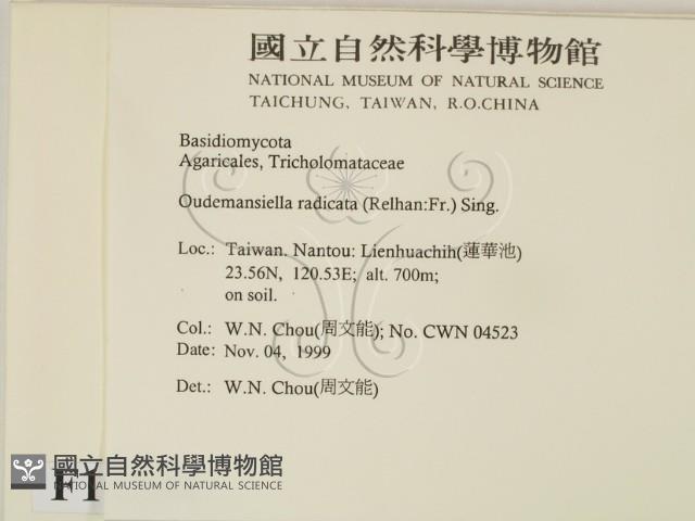 登錄號:F0014184藏品圖，第2張