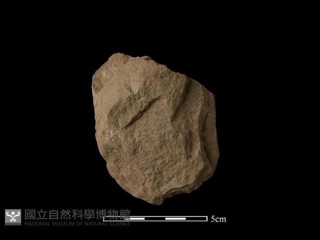 斧鋤形器藏品圖，第1張