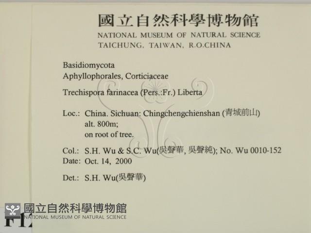 登錄號:F0012184藏品圖，第2張