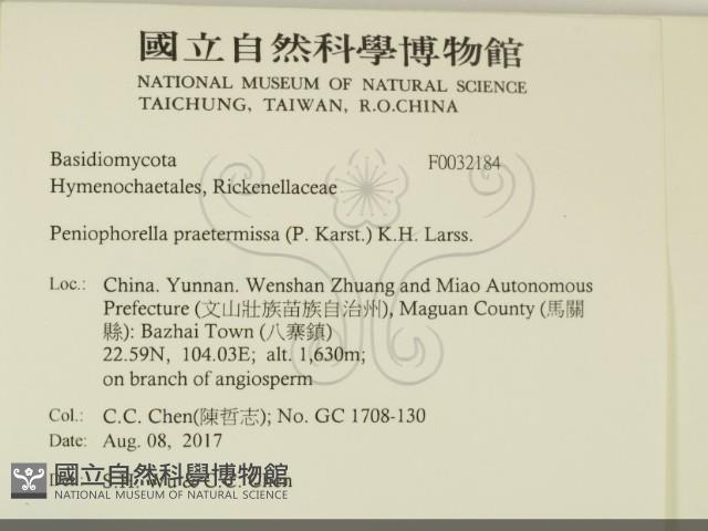 登錄號:F0032184藏品圖，第2張