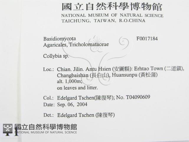 登錄號:F0017184藏品圖，第2張