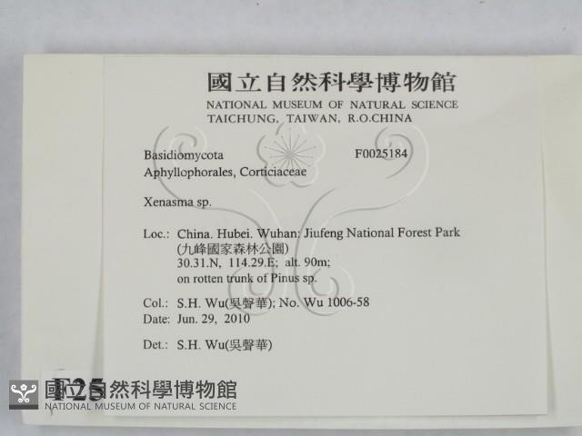 登錄號:F0025184藏品圖，第2張
