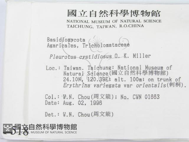 登錄號:F0005184藏品圖，第2張