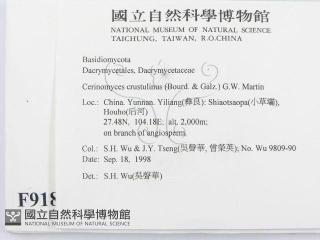 登錄號:F0009184藏品圖，第2張