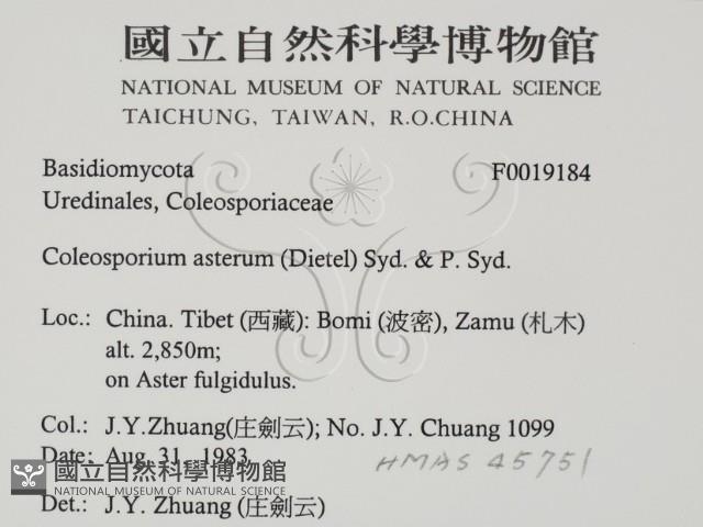 登錄號:F0019184藏品圖，第2張