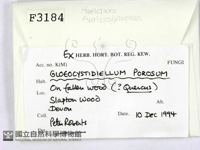 登錄號:F0003184藏品圖，第2張