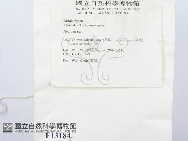 登錄號:F0013184藏品圖，第2張