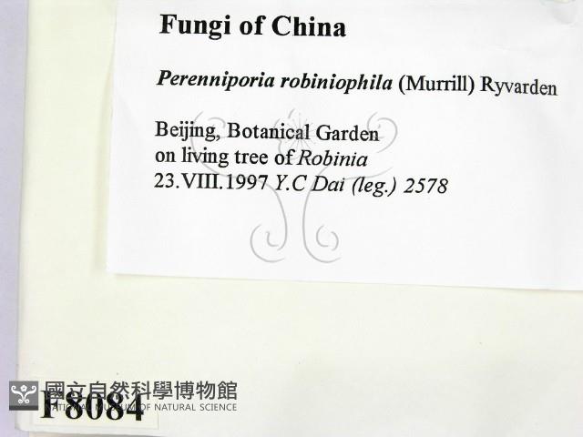 登錄號:F0008084藏品圖，第2張