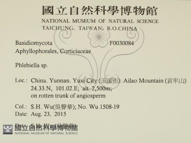 登錄號:F0030084藏品圖，第2張