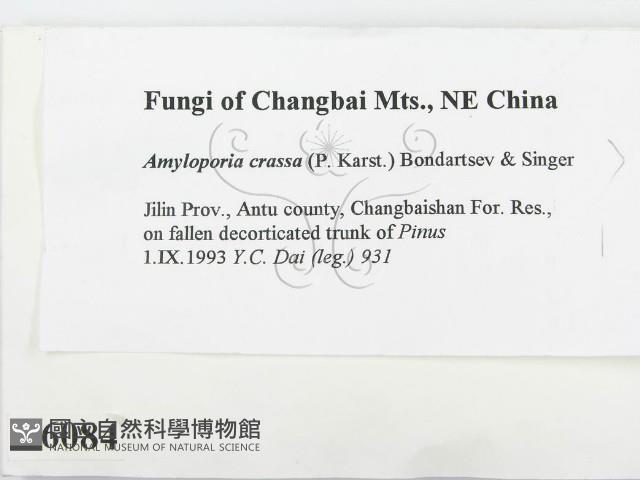 登錄號:F0006084藏品圖，第2張