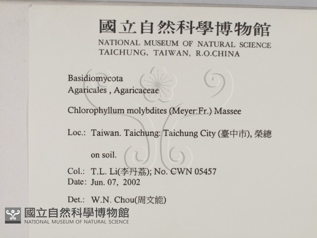 登錄號:F0016084藏品圖，第2張