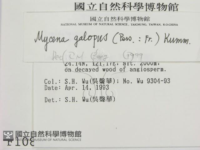 登錄號:F0001084藏品圖，第2張