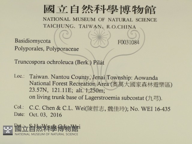 登錄號:F0031084藏品圖，第2張