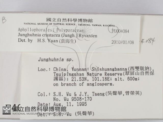 登錄號:F0004084藏品圖，第2張