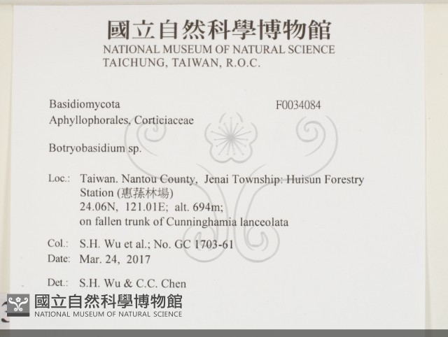 串擔革菌屬藏品圖，第2張