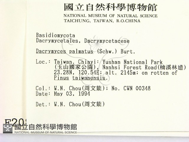 登錄號:F0002084藏品圖，第2張