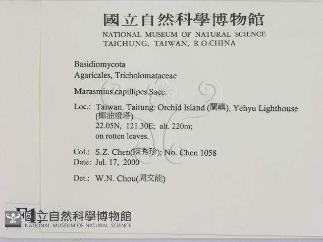 登錄號:F0012084藏品圖，第2張