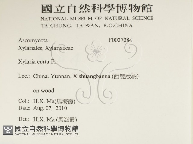 登錄號:F0027084藏品圖，第2張