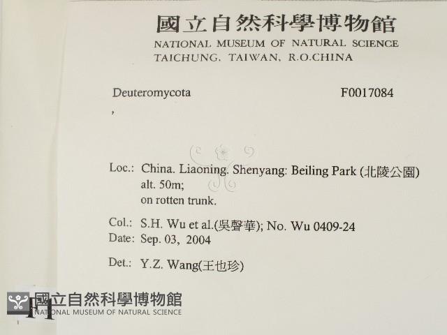 登錄號:F0017084藏品圖，第2張