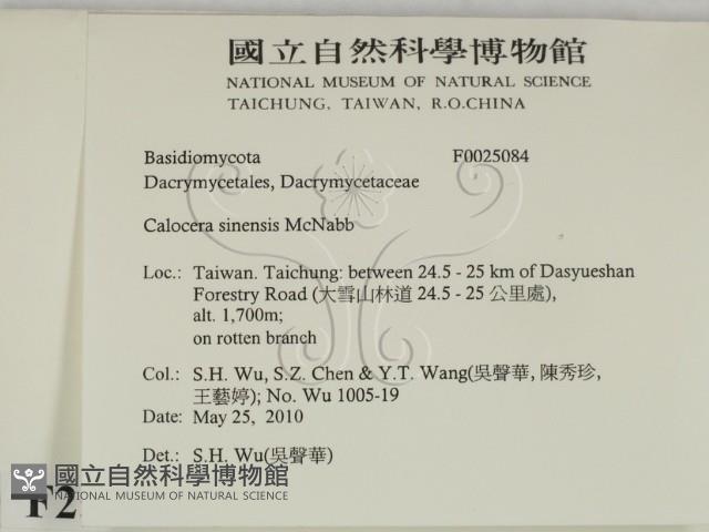 登錄號:F0025084藏品圖，第2張