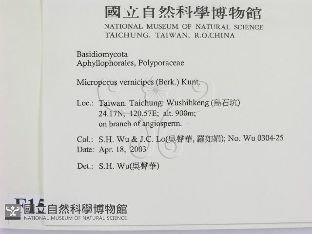 登錄號:F0015084藏品圖，第2張