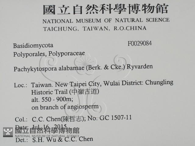 登錄號:F0029084藏品圖，第2張