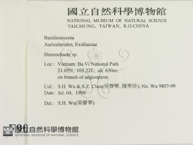 刺皮菌屬藏品圖，第2張