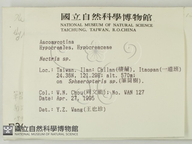 登錄號:F0003084藏品圖，第2張