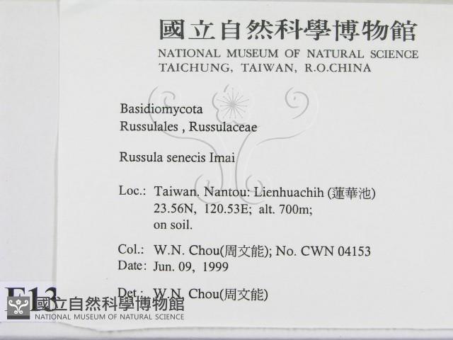 登錄號:F0013084藏品圖，第2張