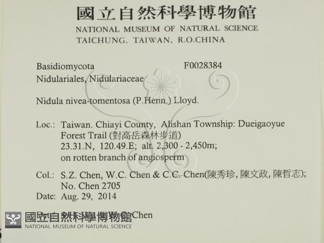 登錄號:F0028384藏品圖，第2張