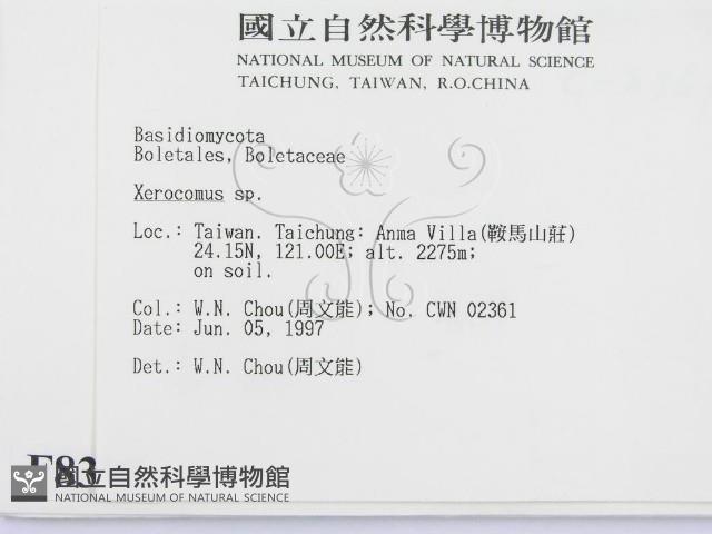 登錄號:F0008384藏品圖，第2張