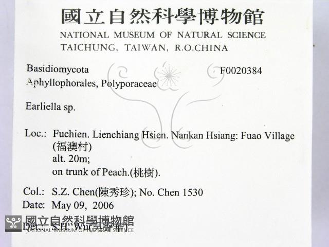 館號:F0020384藏品圖，第2張