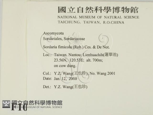 登錄號:F0010384藏品圖，第2張