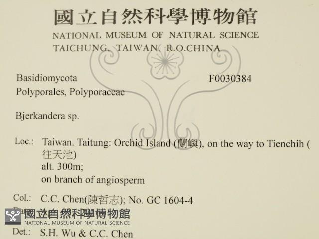 登錄號:F0030384藏品圖，第2張