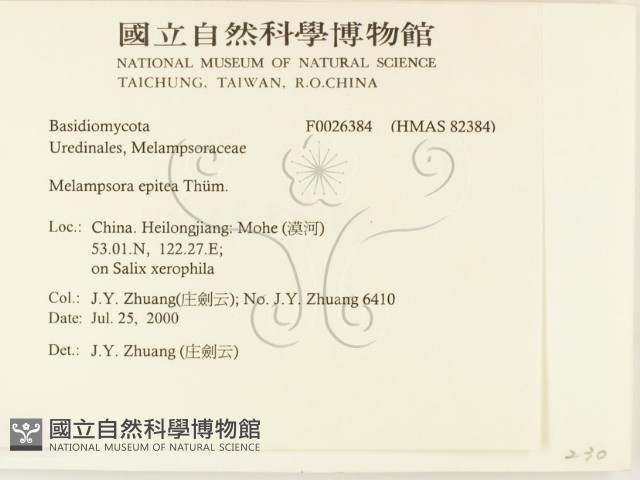 登錄號:F0026384藏品圖，第2張