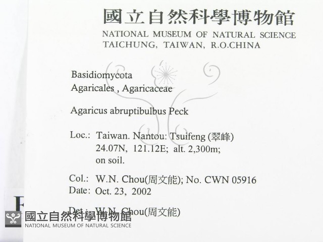 登錄號:F0016384藏品圖，第2張